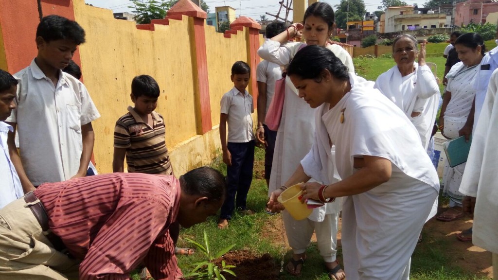 TREE PLANTATION PROGRAM AT MINI STADIUM KOELNAGAR