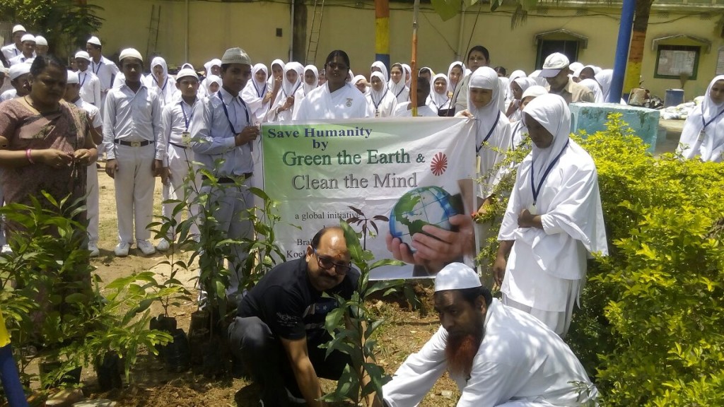 TREE PLANTATION