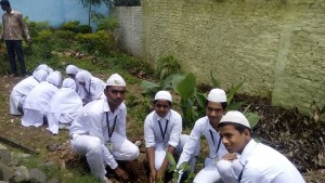 students planting Trees