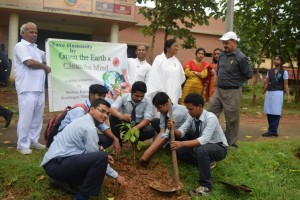 students planting tree in collage